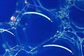 Beautiful soap bubble in macro for background Royalty Free Stock Photo