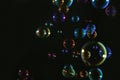 Beautiful soap bubbles colorful float