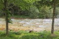 The beautiful Soca river in the green forest, Bovec, Slovenia, Europe. Royalty Free Stock Photo