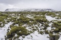 Beautiful soft moss on lava fields with mountainscape in the background.