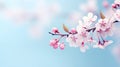 Beautiful soft spring background. Pink flowers on cherry tree branch on blue and pearl pastel background, soft focus macro.