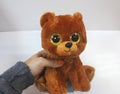 Beautiful soft toy with big eyes - a brown bear on a white background in the hands of women. present