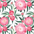 Beautiful sophisticated cute lovely tender herbal floral composition of a pink peonies with green leaves and red buds pattern