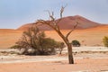 Sossusvlei Namib-Naukluft Park - Namibia Africa Royalty Free Stock Photo