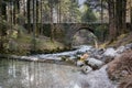 Beautiful source of kamniska bistrica, slovenia, with a bridge