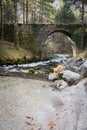 Beautiful source of kamniska bistrica, slovenia, with a bridge