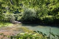 Beautiful source of ljubljanica in vrhnika, slovenia