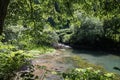 Beautiful source of ljubljanica in vrhnika, slovenia