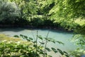 Beautiful source of ljubljanica in vrhnika, slovenia