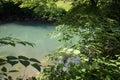 Beautiful source of ljubljanica in vrhnika, slovenia