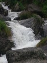 beautiful source of water streams