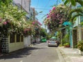 Beautiful south street with trees flowers and palm trees in the summer.