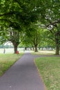 Beautiful southbury Road Park, stunning large green leaves trees