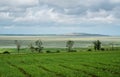 Beautiful southern landscape with field and clouds Royalty Free Stock Photo