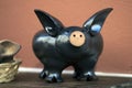 Beautiful souvenir black pig