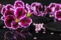 Beautiful spa background of geranium flower, beads and black zen Royalty Free Stock Photo