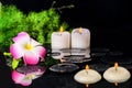 beautiful spa background of plumeria flower, green branch Asparagus with drops and candles on zen basalt stones in reflection Royalty Free Stock Photo