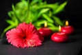 Beautiful spa background of red hibiscus flower, bamboo and cand