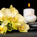 beautiful spa background of yellow orchid phalaenopsis and candles on black zen stones with drops, closeup Royalty Free Stock Photo