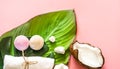 Beautiful Spa composition with coconut on pink background Royalty Free Stock Photo