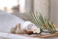 Beautiful spa composition on massage table Royalty Free Stock Photo