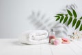 Beautiful spa composition on massage table in wellness center, copyspace. Leaves` shadows on the wall Royalty Free Stock Photo