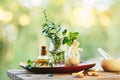 Beautiful spa composition with natural mint essential oil outdoors Royalty Free Stock Photo