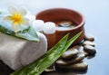 Beautiful spa composition with small bottles, flowers, stones