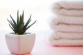 Beautiful Spa Composition White Towels on Pink Table. Royalty Free Stock Photo