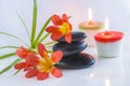 Beautiful spa compostion with black massage stones, red flowers