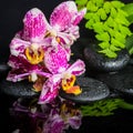 Beautiful spa concept of beautiful lace lilac orchid Royalty Free Stock Photo