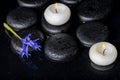 Beautiful spa concept of blooming iris flower, candles and black Royalty Free Stock Photo