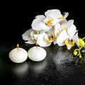 Beautiful spa concept of blooming white orchid flower, phalaenop Royalty Free Stock Photo