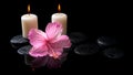 Beautiful spa concept of delicate pink hibiscus, candles Royalty Free Stock Photo