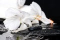 Beautiful spa concept of delicate white hibiscus, zen stones wit Royalty Free Stock Photo