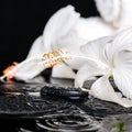 Beautiful spa concept of delicate white hibiscus, zen stones wit Royalty Free Stock Photo