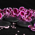 Beautiful spa concept of geranium flower, beads and black zen st Royalty Free Stock Photo