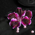 Beautiful spa concept of geranium flower, beads and black zen st Royalty Free Stock Photo