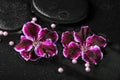 Beautiful spa concept of geranium flower, beads and black zen st Royalty Free Stock Photo