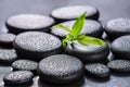 Beautiful spa concept of green branch bamboo on zen basalt stone Royalty Free Stock Photo