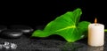 beautiful spa concept of green leaf Calla lily with dew, zen stones and salt on black background, panorama Royalty Free Stock Photo