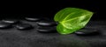 Beautiful spa concept of green leaf and zen stones on black back Royalty Free Stock Photo