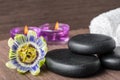 Beautiful spa concept of passiflora flower, black zen stones, ca Royalty Free Stock Photo