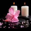 Beautiful spa concept of pink hibiscus, candles, zen stones Royalty Free Stock Photo