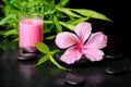 Beautiful spa concept of pink hibiscus flower, twig bamboo and p Royalty Free Stock Photo