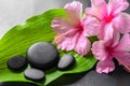 Beautiful spa concept of pink hibiscus flowers and zen basalt st