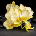 Beautiful spa concept of yellow orchid phalaenopsis on black zen