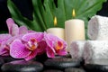 Beautiful spa concept of zen stones with drops, blooming twig Royalty Free Stock Photo