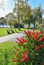 Beautiful spa garden Gmund am Tegernsee, with walkway, benches and flowers Royalty Free Stock Photo