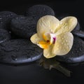 Beautiful spa set of yellow orchid (phalaenopsis), zen stones Royalty Free Stock Photo